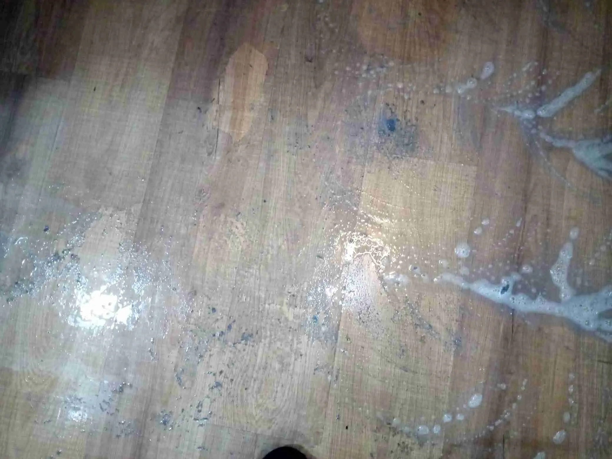 Remoção de Cera em Piso Encardido