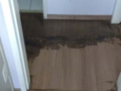 Limpeza de Piso Laminado na Mooca